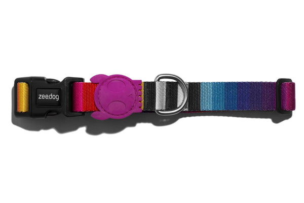 Zee.Dog: Prisma Collar - Small