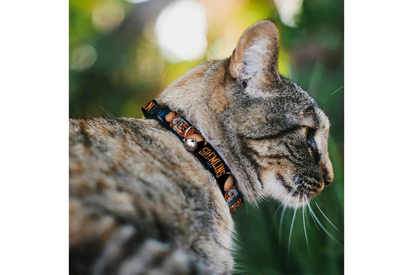 Gremlins: Gizmo Face - Breakaway Cat Collar With Bell