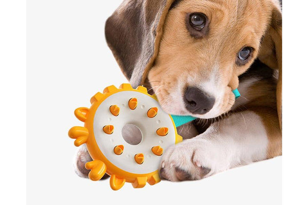 Dog Chew & Teeth Cleaning Toy - NZ Stock