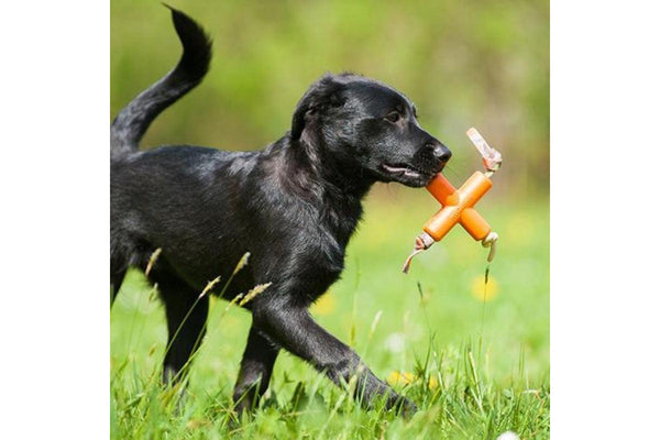 Major Dog Fetch X Toy For Small Dogs - One Size