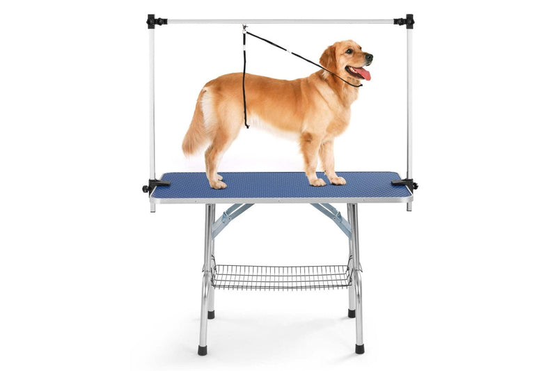 Zoomies Adjustable Pet Grooming Table