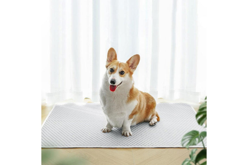 Pet Cooling Mat Dog Cat Breathable Summer Cooling Pad Light Grey