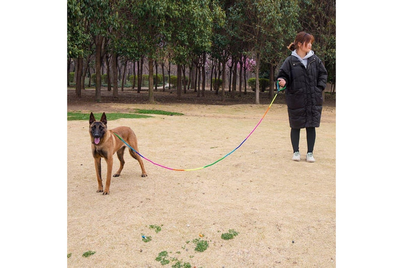 Rainbow Colour Dog Leash With Comfortable Handle