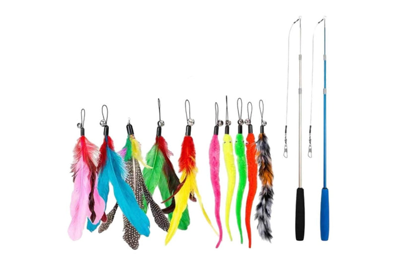 Cat Fishing Pole Toy Set Retractable Cat Wand and Feather Toys Interactive Kitten Toys