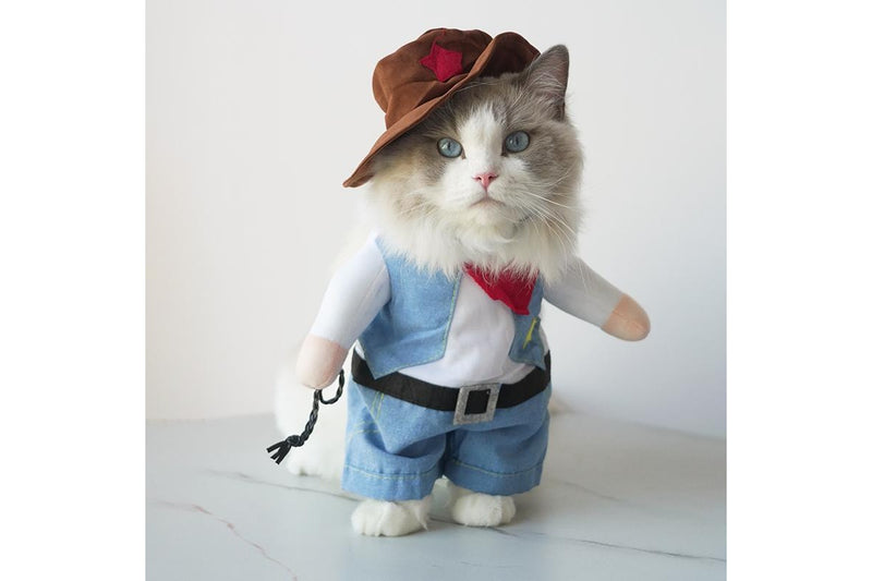 ZOOMIES Pet Cowboy Costume - Small