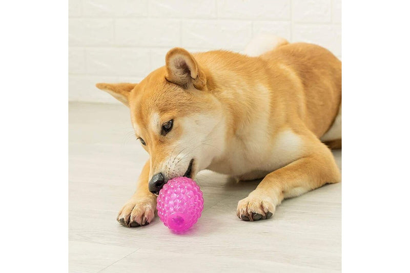 Durable Treat Dispensing Bouncy Pet Chew Ball For Aggressive Chewers Small Medium Large Dogs