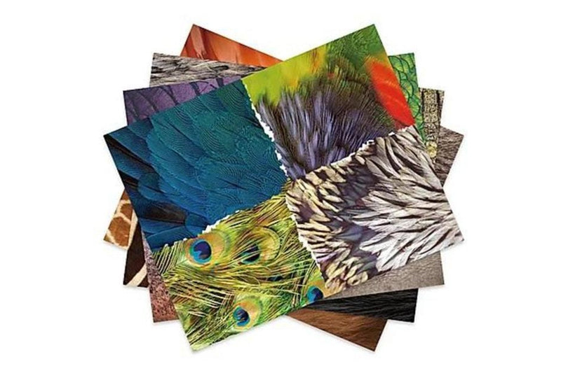 Mier Education: Paper Collage Craft Paper - Animals