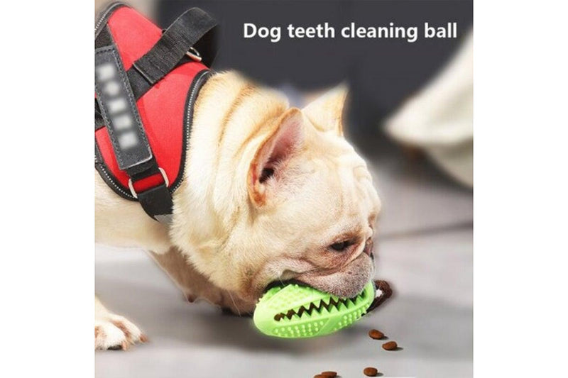 Dog Toys Toothbrush Iq Treat Dispensing Ball Rope Safe Teeth Cleaning Pet Chew Blue - Standard