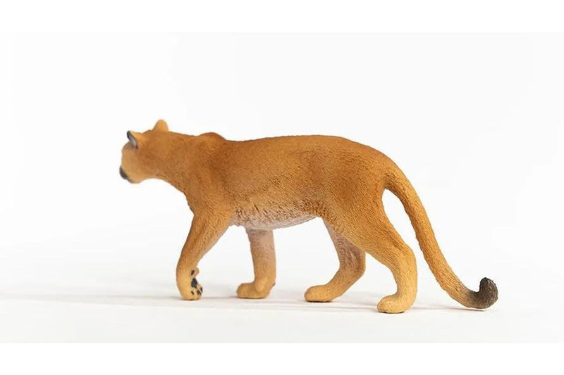 Schleich - Cougar