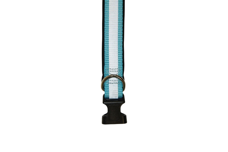 Jackson Pet Co Reflective Dog Collar (Blue) (S-M)