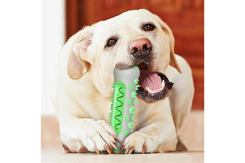 Dog Bone Chew Toy Teeth Cleaning Training Dog Toy Green