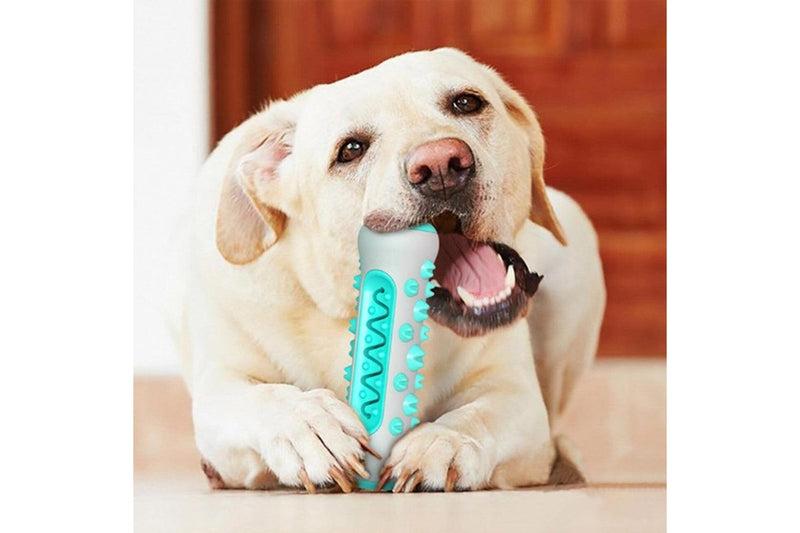 Dog Bone Chew Toy Teeth Cleaning Training Dog Toy Blue