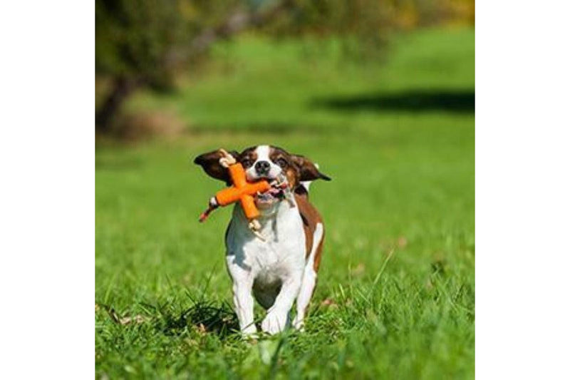 Major Dog Fetch X Toy For Small Dogs - One Size