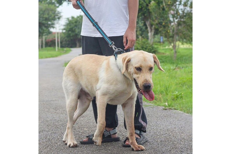 Reflective Step Traction Leash With Mesh Handle