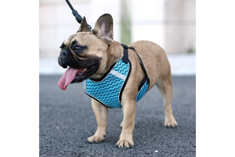 Stripe Printing Design Breathable Reflective Harness With Leash