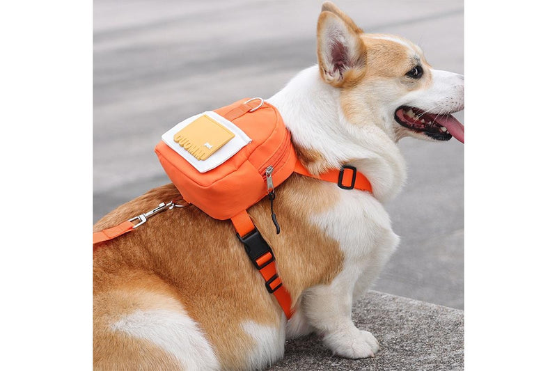 Dog Backpack Harness with D-Ring - Orange