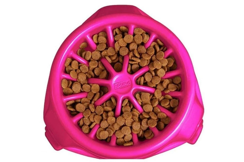 Outward Hound: 3in1 UP Plastic Feeder - Pink