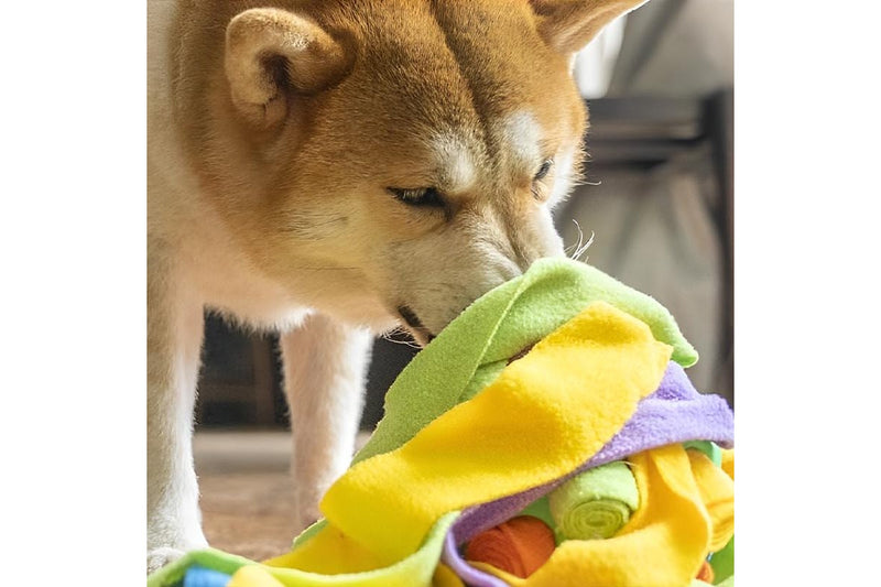 ZOOMIES Sniffer Ball with Fabric Puzzle Toy - Green