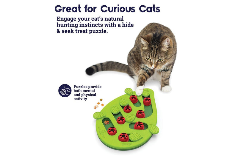 Petstages: Nina Ottosson - Buggin Out Puzzle & Play-Interactive - Cat Treat Puzzle