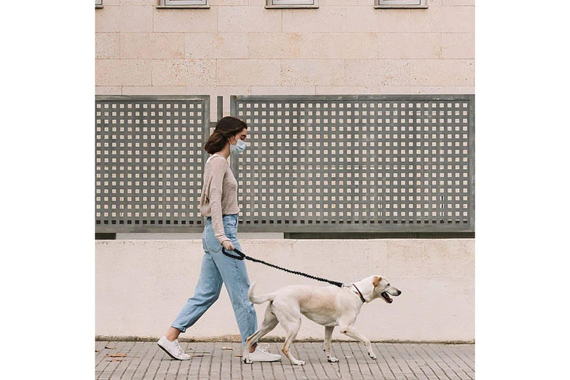 Heavy Duty Dog Leash Stretchable Reflective