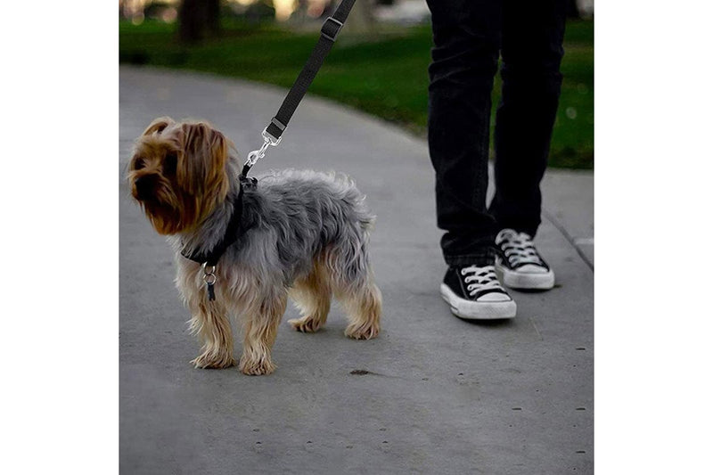 Adjustable Safety Car Leash for Pets - 3 Pack