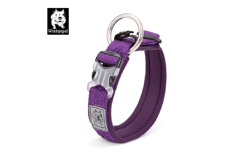 Whinhyepet Collar Purple - 2Xl -