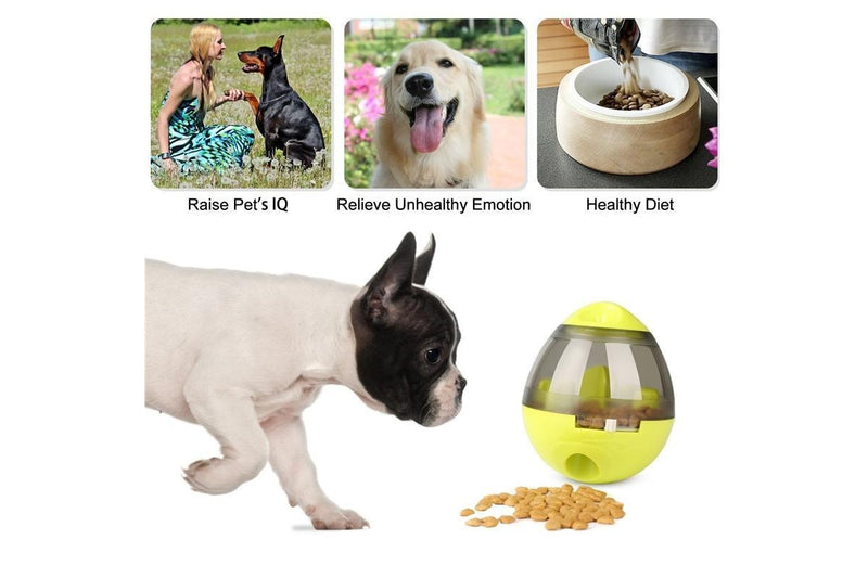 Iq Interactive Food Dispensing Pet Toy - Light Green