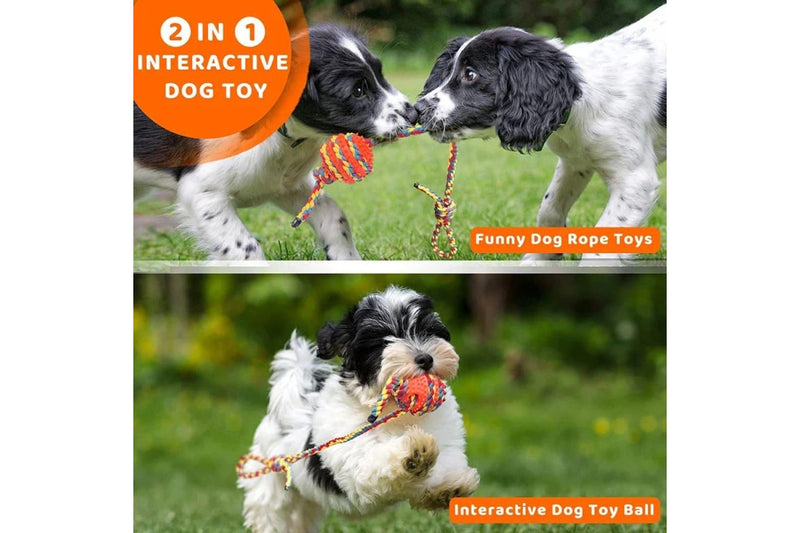 Tough Dog Toys Interactive Chew Toys