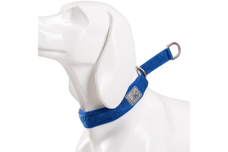 P-chain Nylon Pet Collar