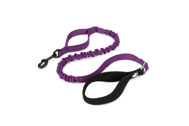 Dog Flexible Neoprene Padded Handle Leash Purple - S