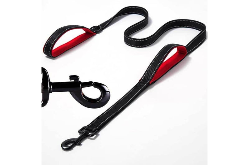 Double Handle Reflective Leash