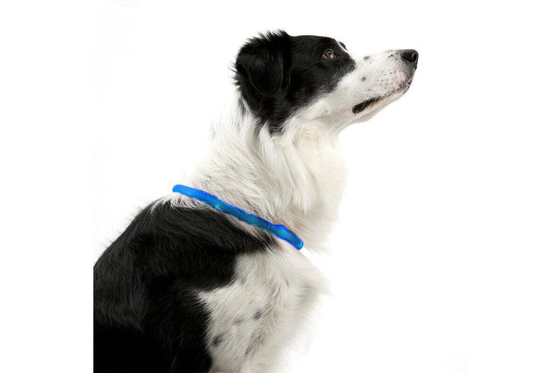 Rechargeable Night Led Dog Collar Usb Glow Flashing Light Up Pet Collars Safety-Blue-Diameter Length-70Cm - One Size