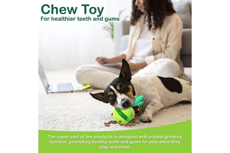 Cactus Tumbler Dog Chew Toy