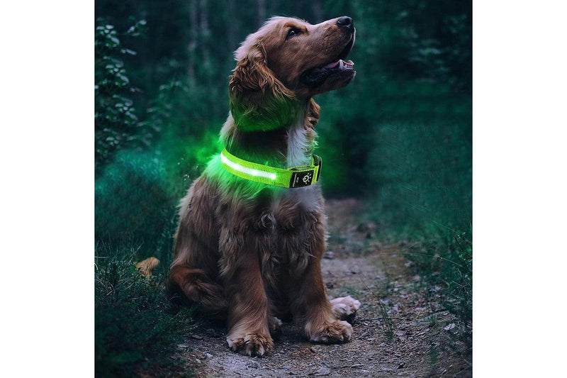 Luminous LED Pet Dog Collar Light-up USB Rechargeable Dog Collar Green