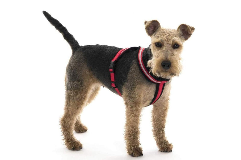 Halti Comfy Dog Harness (Red) (XL)