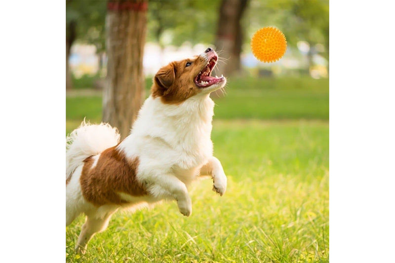 Durable Elastic Teeth Cleaning Squeak Chew Dog Ball Toy For Small Medium And Large Dog