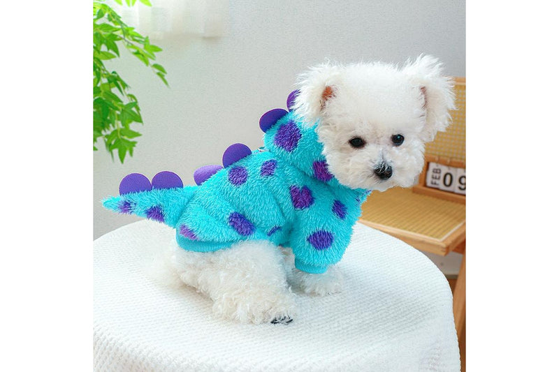 Dinosaur M Pet Coat