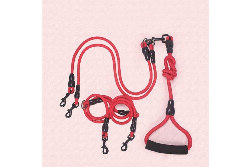 Durable Rock Climbing Nylon Dog Leash With Foam Handle