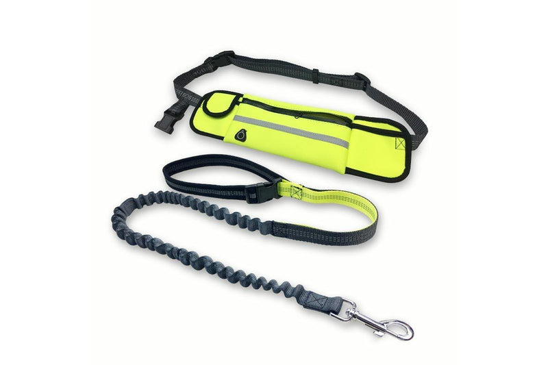 Shock Absorbing Bungee Hands Free Dog Running Leash With Waist Pocket - Blue