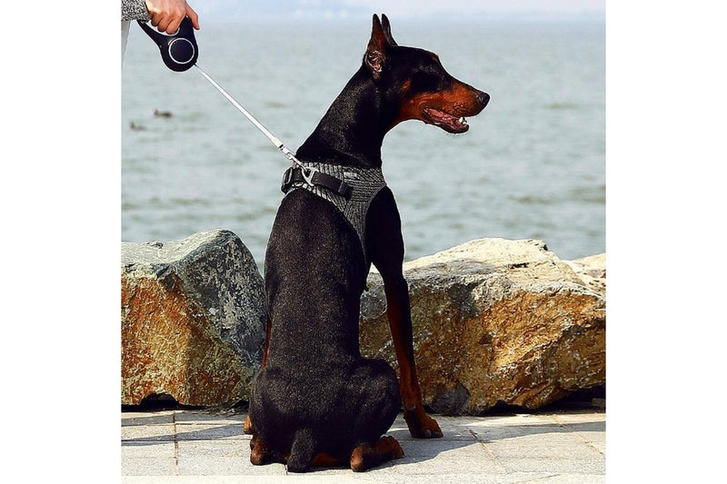 PetKit: Air Fly Dog Harness (Medium)