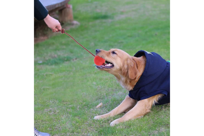 Pet Health Dog Molars Toys With Stretchy Rope Rubber Ball Biting Training - Red