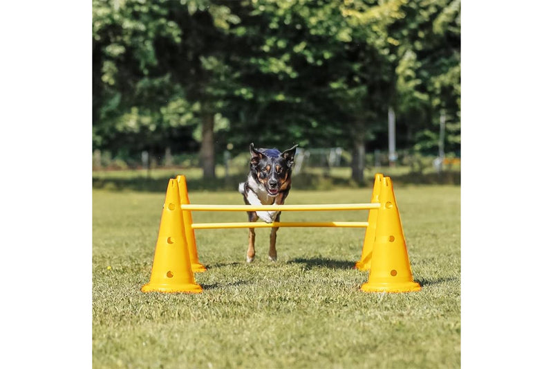 ZOOMIES Dog Agility Hurdle Cone Set - Yellow