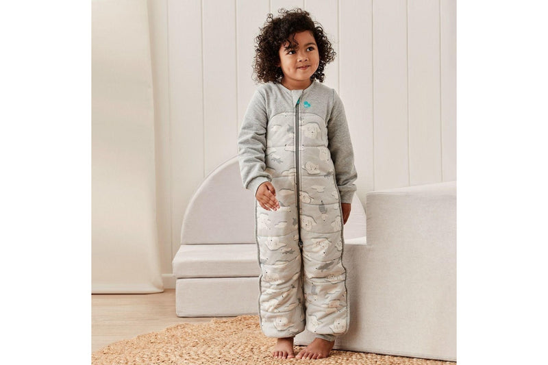 Love to Dream: Sleep Suit Extra Warm 3.5 Tog - South Pole Grey (Size 2)