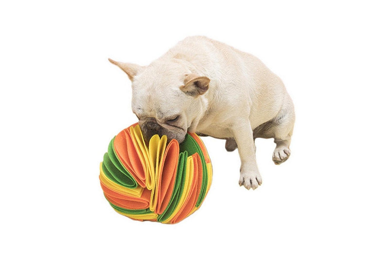 Pet Snuffle Ball Yellow