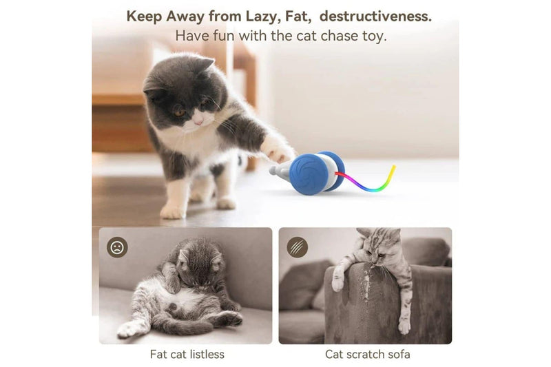 Interactive Cat Toy Usb Rechargeable With Squeaking Sound And Led Flashing Tail