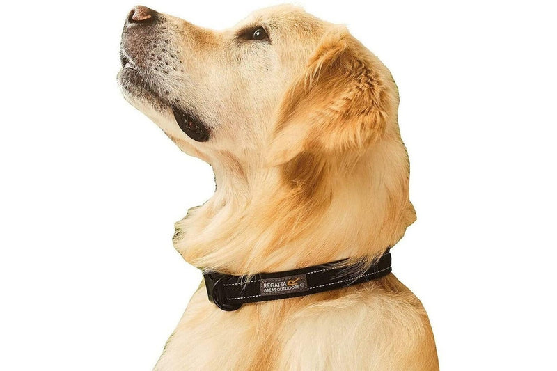 Regatta Premium Dog Collar (Black) (L-XL)