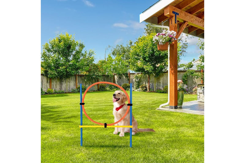 ZOOMIES Dog Agility Ring