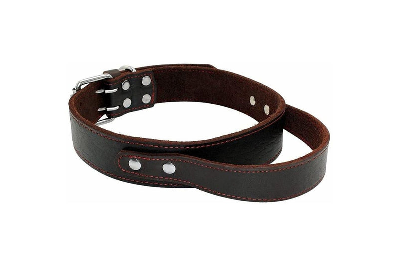 Durable Heavy Duty Leather Control Collar For Medium Large Dogs