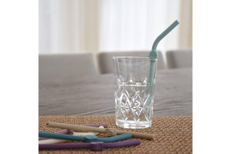 Melii: Silicone Luxe Animal Straws with Cleaning Brush