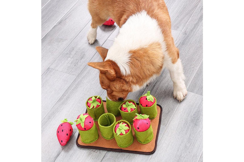 Strawberries Pull Out Snuffle Mat Dog Slow Feeding Treat Toy - One Size - Set Of 1